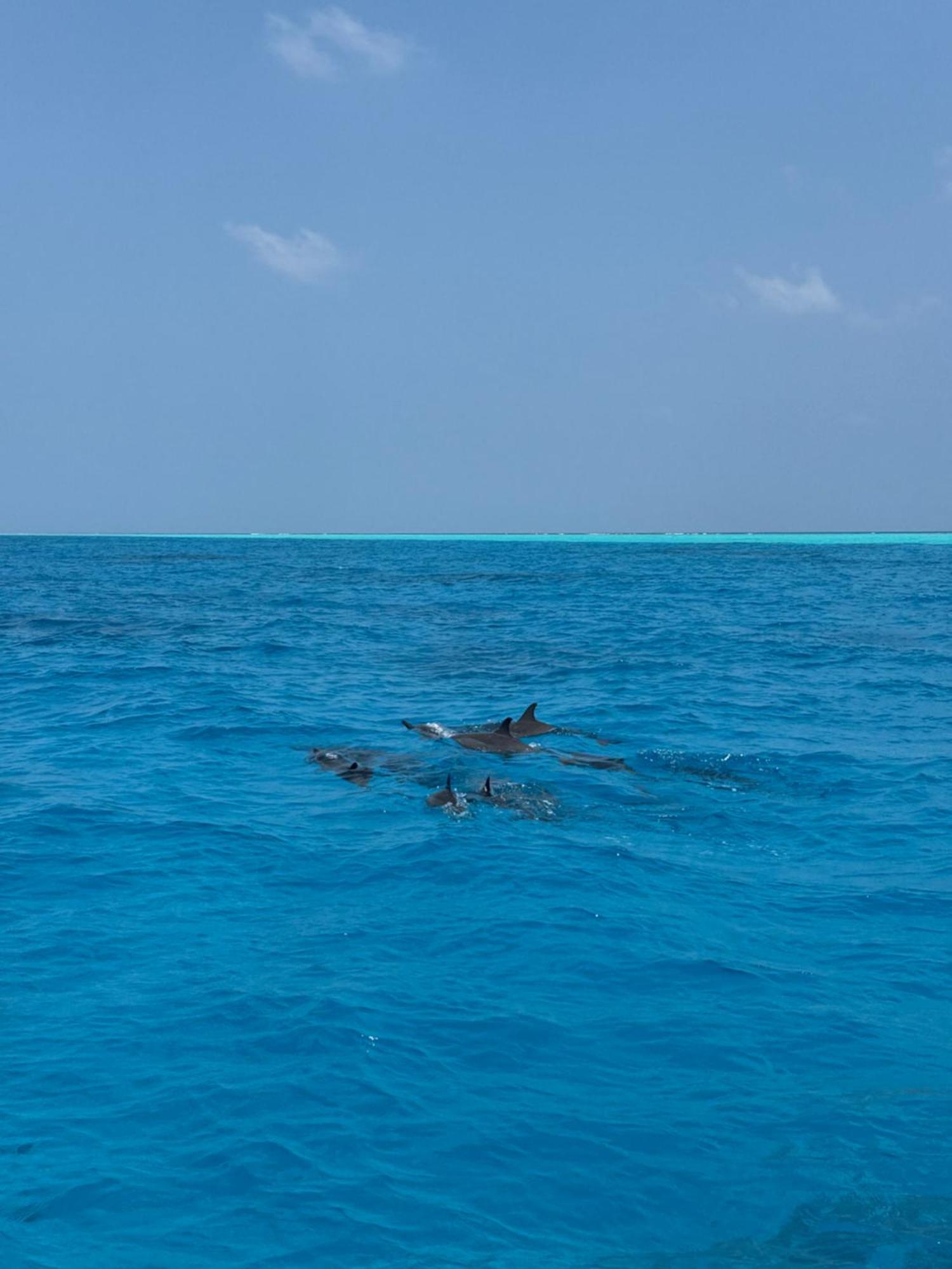 Sunrise Lagoon Hotel Gaafaru ภายนอก รูปภาพ